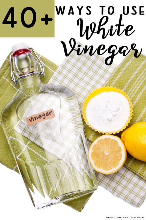 Read on to learn some fascinating ways that you can use white vinegar around your home to clean and disinfect it naturally. Vinegar For Cleaning, Vinegar Cleaning, Creative Learning, Living Ideas, White Vinegar, Natural Living, Food Printables, Frugal Living, Simple Living