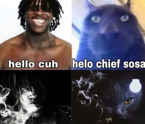 Chief Sosa, 2013 Swag Era, Chief Keef, So Real, Silly Images, Im Going Crazy, Silly Pictures, Funny Reaction Pictures, Silly Me