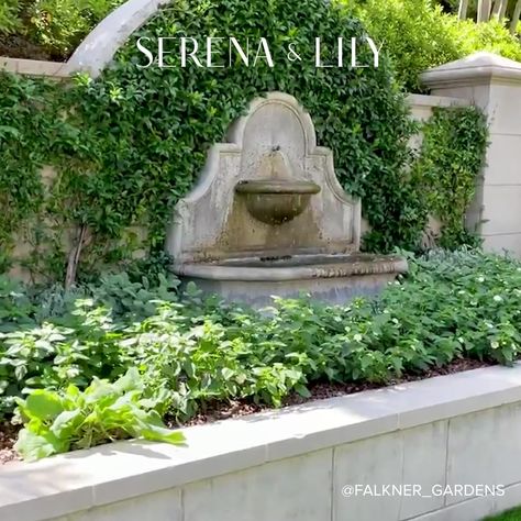 Wall Fountain Ideas, Front Yard Fountain, Patio Water Feature, Outdoor Wall Fountains, Garden Water Fountains, Courtyard Gardens Design, Serena Lily, Backyard Pool Landscaping, Home Garden Design