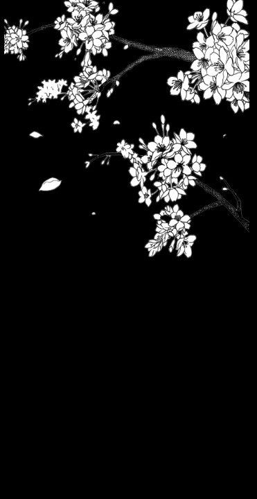 Cherry Blossom Wallpaper Black And White, Japanese Aesthetic Black And White, Dark Cherry Blossom Wallpaper, Black And White Wallpaper Backgrounds, Black And White Flowers Aesthetic, Black And White Japanese Aesthetic, Black And White Cherry Blossom, Instagram Black Theme, Anime Flower