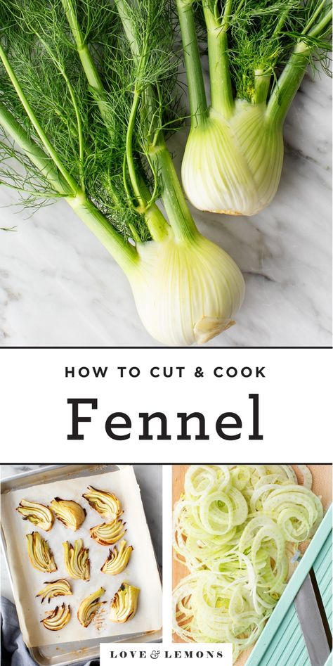 What is Fennel? (And How to Cook It) - Recipes by Love and Lemons Cabbage And Fennel Recipes, Sauteed Fennel Recipes, Fennel Recipes Sauteed, Sauteed Fennel, Misfits Market, Homemade Vegetable Broth, Tomato Pasta Recipe, Fennel Recipes, Stock Recipes