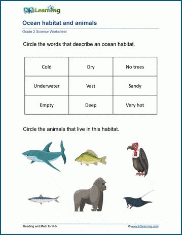 Animal habitats worksheets - Students match descriptive words and animals to ocean, forest, desert, grassland and arctic habitats. Free | Printable | Grade 2 | Science | Worksheets Animal Habitat Worksheet, Grade 2 Science Worksheets, Habitat Worksheet, Log Math, Kindergarten Grammar, Arctic Habitat, Grade 2 Science, Ocean Forest, Early Science