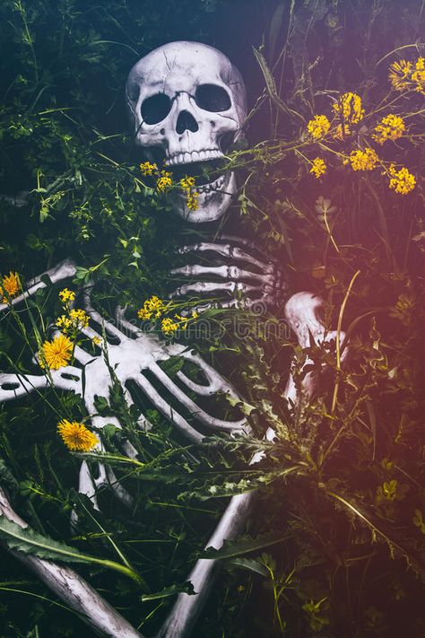 Overgrown Skeleton, Film Effect, Bone Art, Year 3, Vintage Film, Skeletal, Skeleton, Sunflower, Sketch