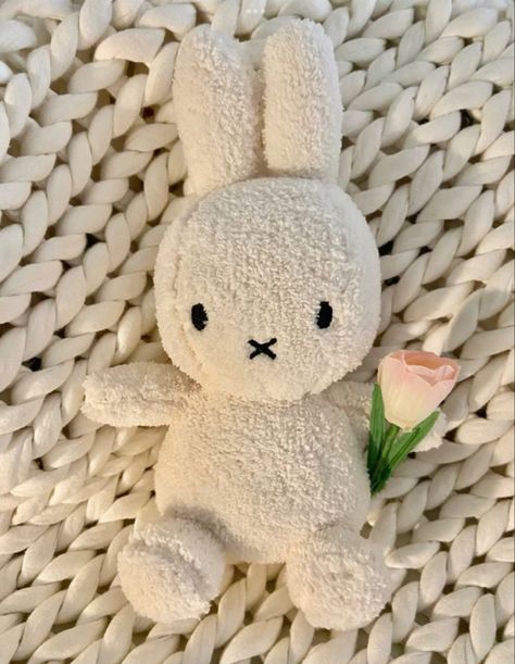 Miffy Stuffed Animal, Cute Things Aesthetic, Miffy Pfp, Miffy Pink, Miffy Aesthetic, Al Jackson, Teddy Pictures, Kawaii Plush, Kawaii Plushies