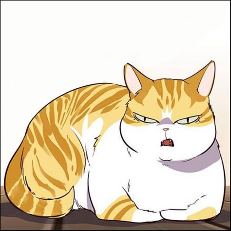 Kayden Break Cat, Casien Nitrate, Eleceed Cat, Kayden Break, Isekai Manhwa, Stitch Quotes, Webtoon Art, Orange And White Cat, Lilo And Stitch Quotes