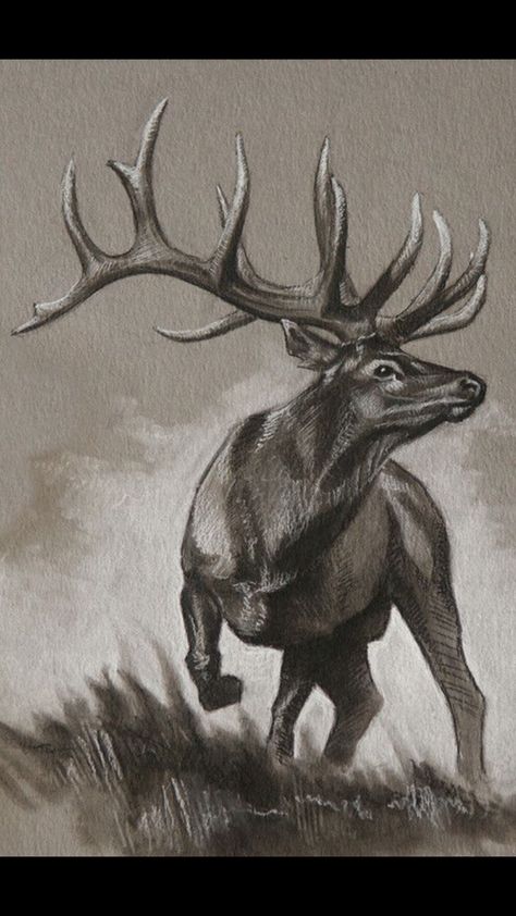 Nature Tattoo Sketch, Tattoo Ideas Animals, Elk Drawing, Elk Tattoo, Elk Pictures, Nature Tattoo Ideas, Deer Tattoo Designs, Deer Drawing, Nature Tattoo