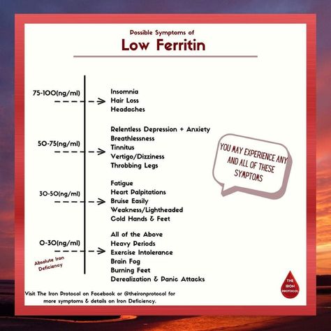 Low Ferritin Symptoms, Ferritin Deficiency, Iron Deficiency Symptoms, Pancreatic Insufficiency, Low Ferritin, Low Progesterone, Fibroid Diet, Deficiency Symptoms, Blood Work