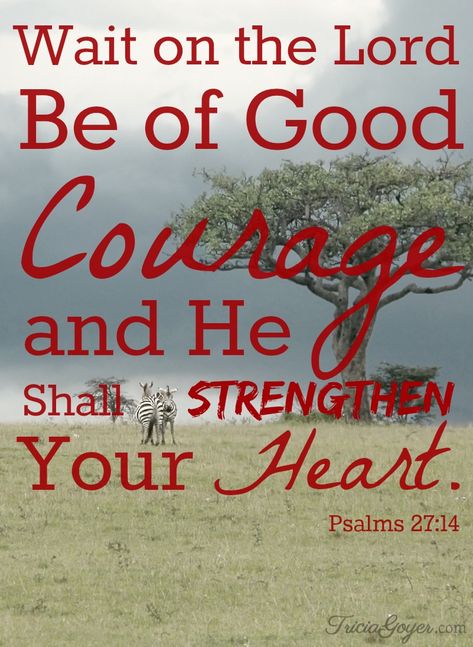 Wait on the Lord | Psalms 27:14 - Tricia Goyer Saturday Scripture, Scripture Psalms, Psalms 27, Wait On The Lord, Be Of Good Courage, A Bible Verse, Prayer Requests, Psalm 27, Gods Timing