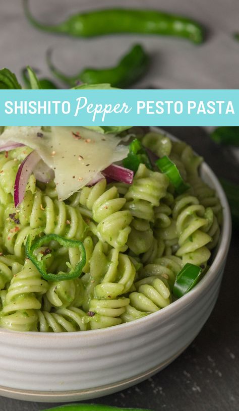 Shishito Pepper Pasta, Shishito Peppers Recipes, Recipes For Shishito Peppers, Stuffed Shishito Peppers, Recipes With Shishito Peppers, Shishito Peppers Recipe Dinners, Pasta Monday, Shishito Peppers Recipe, Pesto Dinner