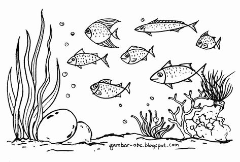 Gambar Mewarnai Ikan Laut Contoh Gambar Mewarnai Cartoon Sea Animals, Easy Drawings For Kids, Church Crafts, Mermaid Art, Attack On Titan Anime, Sea Animals, Color Of Life, Sea Life, Easy Drawings