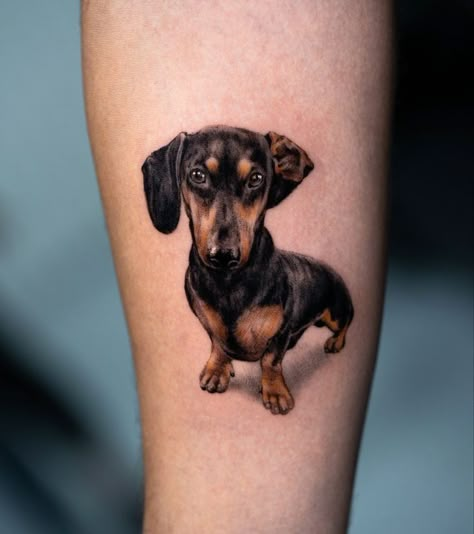 Weenie Dog Tattoo, Sausage Dog Tattoo, Daschund Tattoo, Tattoo With Heart, Dachshund Tattoo, Pawprint Tattoo, Weenie Dog, Dog Leg, Man Tattoo