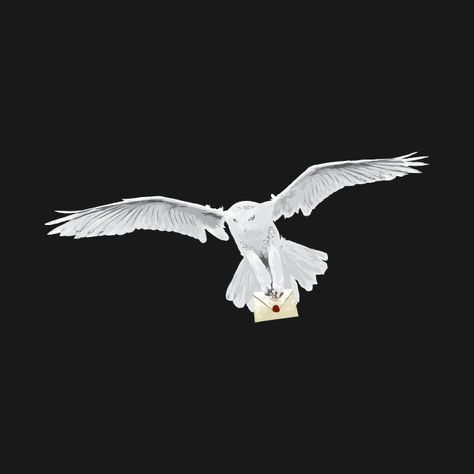 Landscape Minimalist, Hedwig Flying, Hogwarts Letter, Hedwig Owl, Watch Faces, Hd Landscape, 4k Hd, Hogwarts, Mars