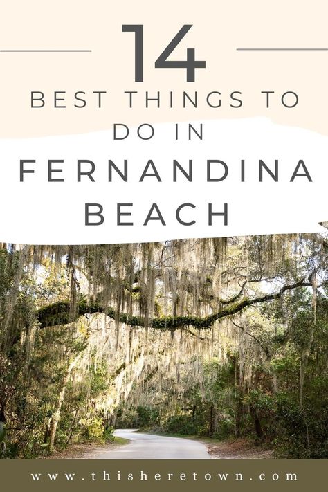 Best Things to Do in Fernandina Beach, Florida — This Here Town Island Activities, Florida Activities, Fernandina Beach Florida, New Smyrna Beach Florida, Cumberland Island, Retirement Travel, Vacation Activities, Fernandina Beach, New Smyrna Beach