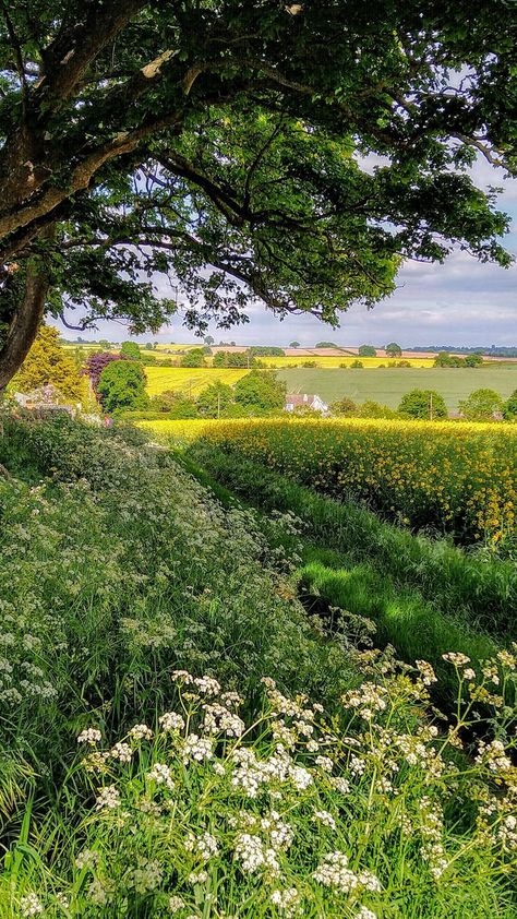 Nature Lockscreen, English Summer, Image Nature, Pretty Landscapes, Spring Aesthetic, English Countryside, Homescreen Wallpaper, Nature Aesthetic, Pretty Places