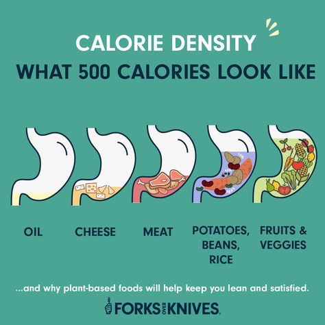 Calorie Density Chart, Calorie Density, Calorie Chart, Makanan Rendah Kalori, Healthy Vegan Diet, Calorie Dense Foods, Forks Over Knives, American Diet, 500 Calories