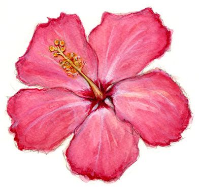 Painting Ideas Hibiscus, Hibiscus Flower Watercolor Painting, How To Paint Hibiscus, Habisquis Flower Drawing Easy, Painted Hibiscus Flower, Hawian Flowers Drawings, Hubiskis Flower, Hibiscus Painting Easy, How To Draw Hibiscus Flower