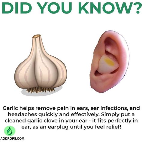 Garlic In Ear, Earache Remedies, Garlic Benefits, Garlic Uses, Sick Remedies, Tea Health Benefits, Health Guru, Ear Health, Healthy Herbs