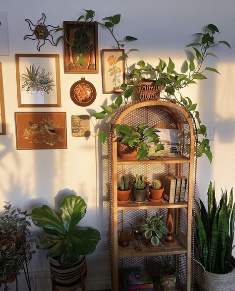 Plant Shelf Ideas, Plant Stand Ideas, Stand Ideas, Hanging Vines, Plant Shelf, House Plants Decor, Aesthetic Rooms, Apartment Decor Inspiration, Indoor Gardening