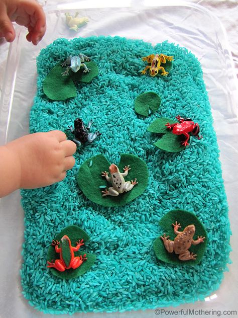 Exploring with frogs & sensory play. Frog Activities, Toddler Sensory Bins, Color Rice, Sensory Tubs, Frog Theme, Frog Crafts, Colored Rice, Toddler Sensory, Kids Sensory