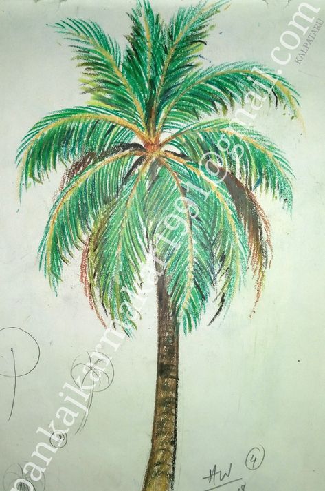 Coconut tree painting with oil pastel by Pankaj karmakar Coconut Tree Drawing Easy, Coconut Tree Painting, Tree Painting Ideas, Coconut Tree Drawing, Tree Drawing For Kids, Simple Car Drawing, Tree Tattoo Color, Easy Scenery Drawing, Africa Painting