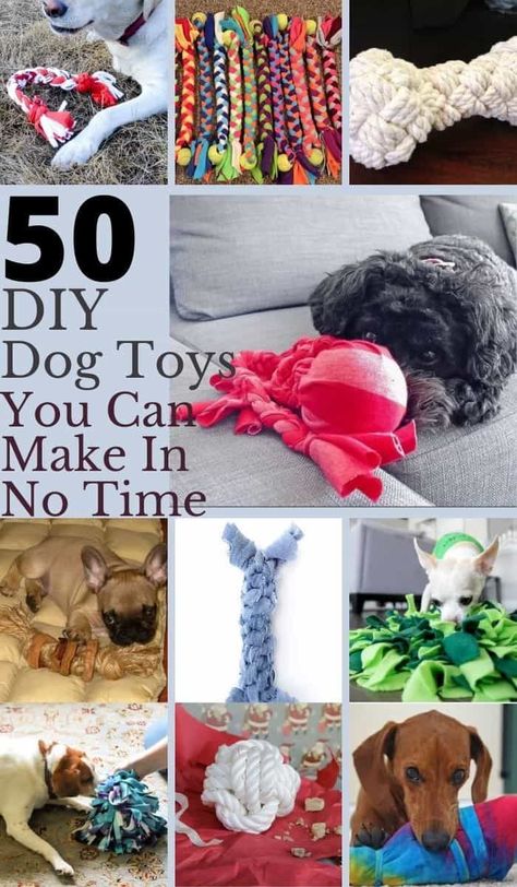 Cat Projects, Homemade Dog Toys, Pet Crafts, Animal Treats, Kat Diy, Puppy Ideas, Chien Golden Retriever, Dogs Diy Projects, Dachshund Clothes