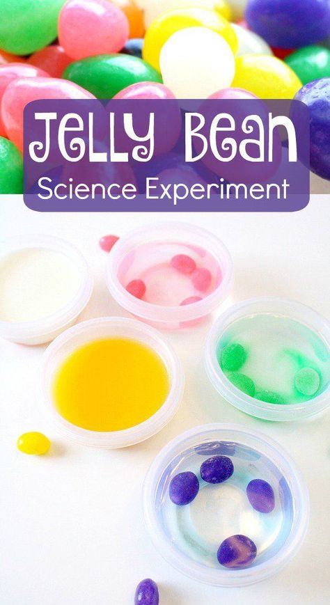 Compare how jelly beans react to different liquids in this jelly bean science experiment or letter J activity for preschool or kindergarten. Bean Science Experiment, Jelly Bean Science Experiment, Science For Preschool, Easter Science Experiments, Letter J Activities, Easter Science, Amazing Science Experiments, Science Experiment For Kids, Easter Lessons