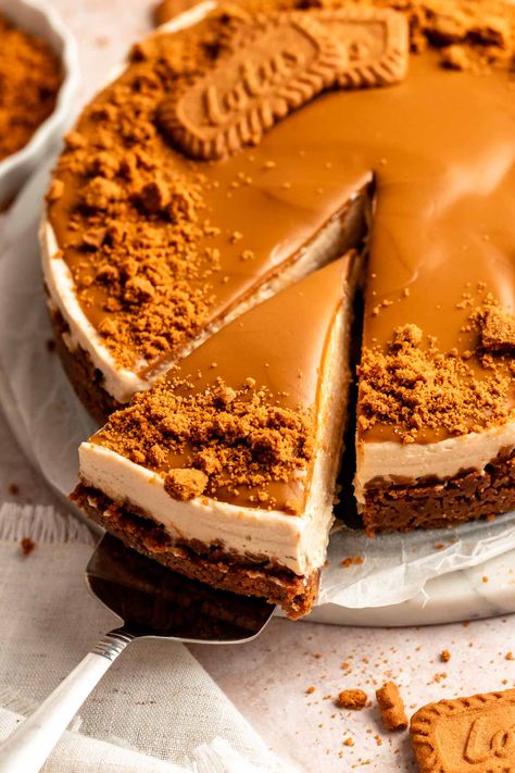 Nutella Biscoff Cheesecake, Cookie Butter Cheesecake No Bake, Biscotti Cheesecake Recipes, No Bake Cookie Butter Cheesecake, No Bake Biscoff Cheesecake Recipes, Biscoff No Bake Cheesecake, Biscoff Cheesecake No Bake, Bischoff Cheesecake, Cake Recipes No Bake