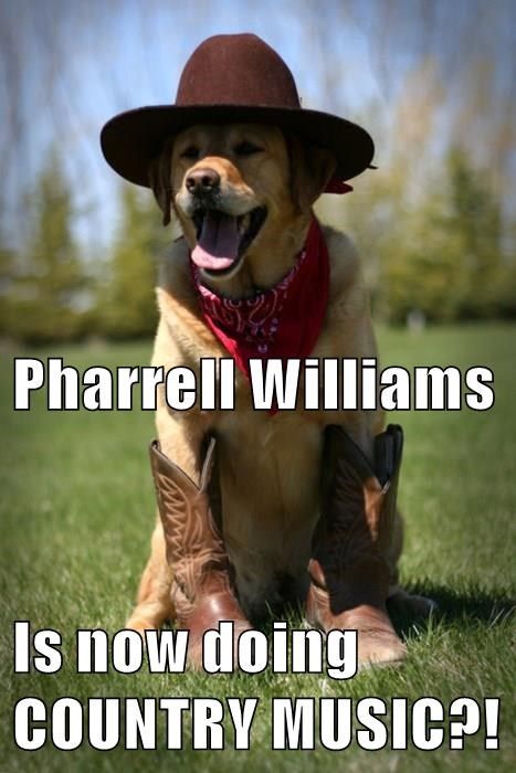 Pharrell Williams' Career Is Getting Ruff Charles Darwin, Golden Retrievers, Art Journals, Mans Best Friend, Dog Pictures, Dog Life, I Love Dogs, Puppy Love, Animal Pictures