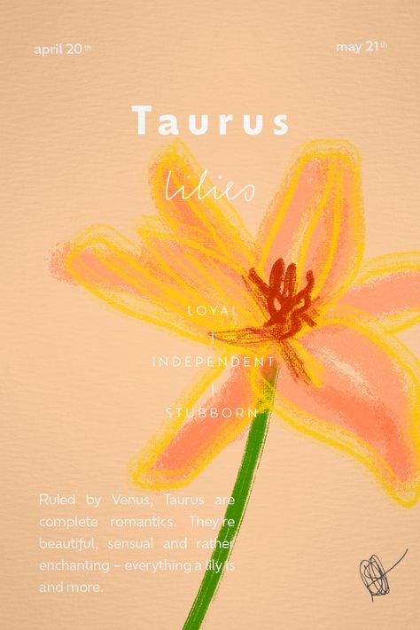 Taurus is a very stubborn sign but they can also be loyal and very independet (I should know better about that, Since I am one of them!). Taurus Flower, Zodiac Flowers, Be Loyal, Taurus Zodiac, Did You Know, Lily, Yellow, Flowers