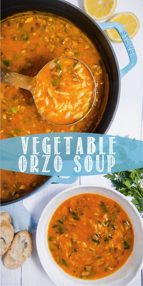 Soup Orzo, Vegetable Orzo Soup, Vegetable Orzo, Soup Vegetable, Orzo Pasta Salad, Orzo Soup, Delicious Clean Eating, Best Soup Recipes, Fall Soups