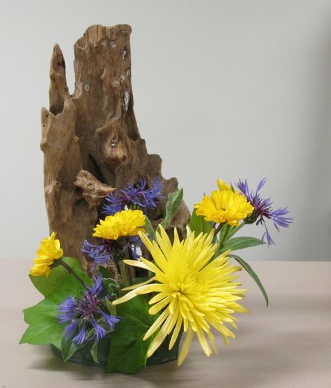 Driftwood Flower Arranging Blog Driftwood Flower Centerpieces, Drift Wood Flower Arrangements, Driftwood Floral Designs, Driftwood Orchid Arrangement, Orchid On Driftwood, Shell Flower And Driftwood, Small Flower Arrangements, Creative Flower Arrangements, Silk Flower Arrangements