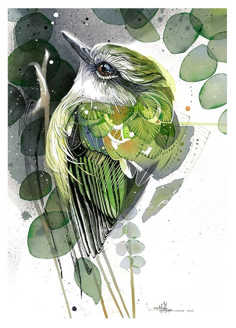 Rachel Walker Art, Watercolor Fine Art, Bird Art Painting, Animal Artwork, Watercolor Animal Paintings, Abstract Bird Art, Pen And Ink Drawings With Watercolor, Watercolour Birds, Rachel Walker Watercolors