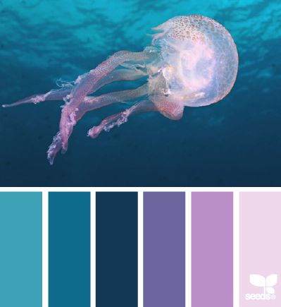 Jellyfish hues----this might help me incorporate some purples into my compositions. Aquatic Color Palette, Seeds Color, Door Colors, Palette Design, Color Palate, Design Seeds, Blue Dream, Color Stories, World Of Color