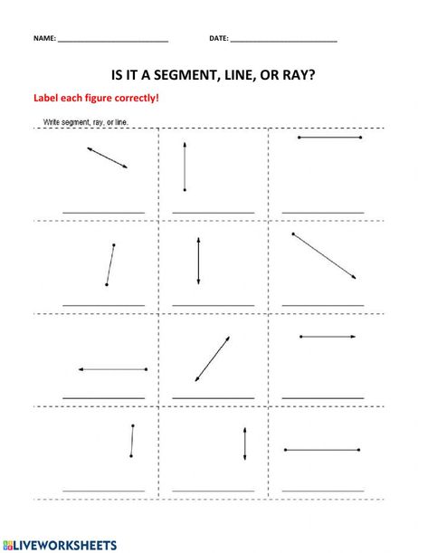 Ray Line, Geometry Help, Math Geometry, Worksheet Template, School Subjects, Google Classroom, High School Students, Printable Worksheets