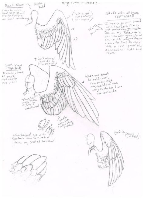 How To Draw Wings, Draw Wings, Wings Drawing, Wings Art, Desenho Tattoo, Poses References, Drawing Poses, Drawing Reference Poses, Drawing Tips