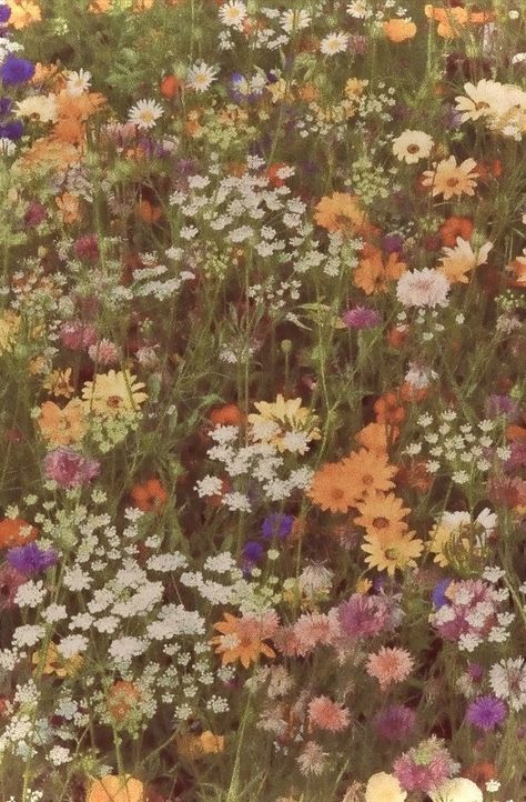 Photo Landscape, Most Paused Movie Scenes, Vintage Flowers Wallpaper, Nothing But Flowers, Diy Home Decor Ideas, Flower Therapy, Home Decor Projects, Jolie Photo, Diy Home Decor Projects