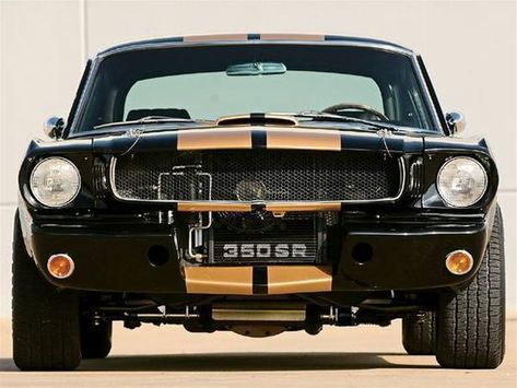 Seller of Classic Cars - 1965 Ford Mustang (Hertz Black/Gold painted stripes/Black) 65 Mustang Fastback, Mustang Black, Shelby Car, 66 Mustang, 65 Mustang, Vintage Mustang, Ford Mustang Car, Pimped Out Cars, Classic Mustang