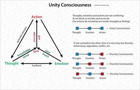 Unity Consciousness Hermetic Laws, Cerebral Hemispheres, Unity Consciousness, Kundalini Energy, Vibrational Medicine, Platonic Solids, Life Flower, Metatron's Cube, Human Design System