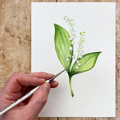 Watercolour Lily, Watercolour Tutorial, Aquarelle Drawing, Lily Flower Tattoos, Aquarelle Painting, Tree Watercolor Painting, Watercolor Flowers Tutorial, Lily Of The Valley Flowers, Lily Painting