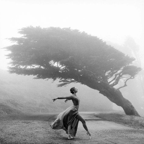 Isabella Boylston, Rodney Smith, Ilford Hp5, San Francisco Ballet, Paris Opera Ballet, Ballet Performances, Photography Reviews, American Ballet Theatre, Ballet Photography