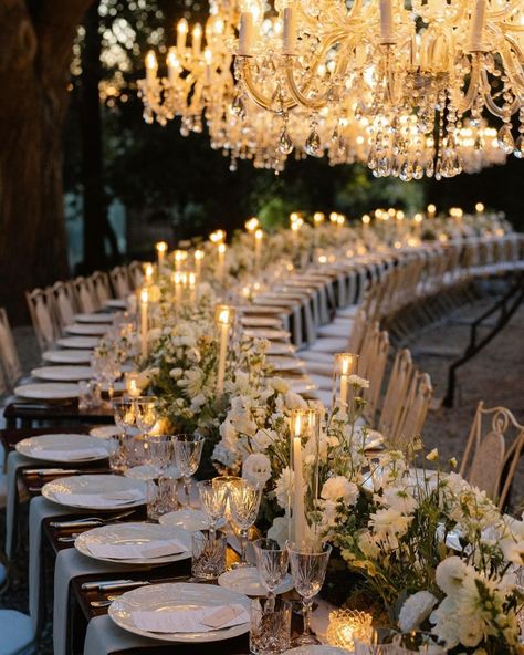 That moment…When sunlight turns magical and alfresco dining becames even more special 🌿🥰 . .. … …. ….. Ph @bottega53 Planning & design… | Instagram Florence Wedding, Dining Wedding, Elegant Wedding Reception, Happy Wife Happy Life, Tuscan Wedding, Alfresco Dining, Future Wedding Plans, Happy Wife, Seattle Wedding