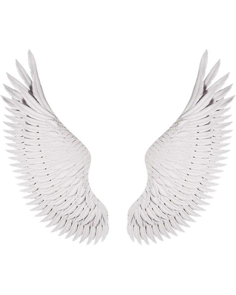 3D Metal Wings Wall Art, 115cmx110cm Wrought Iron Wing Wall Sculpture, Angel Wings Wall Hanging, for Beer Bar, Wedding, Party, Christmas https://a.co/d/a0JoUCC Beer Bar Wedding, Sculpture Angel, Wings Wall Art, Angel Wings Wall, Wing Wall, Metal Wings, Bar Wedding, 3d Metal, Beer Bar