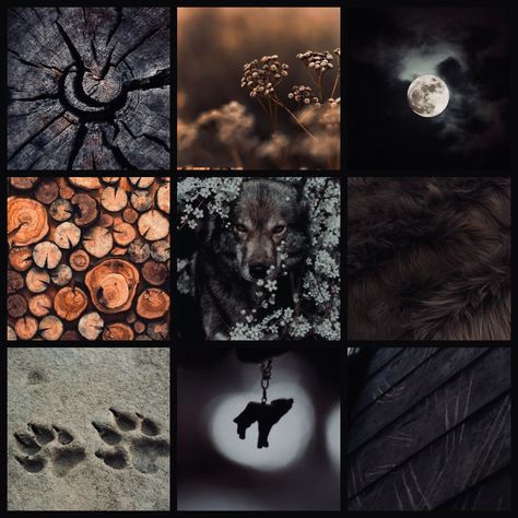 Raven Moodboard, Therian Moodboard, Moodboard Adopt, Witch Moodboard, Fursona Ideas, Roblox Decals, Adopt Idea, Make Your Own Character, Visual Aesthetics