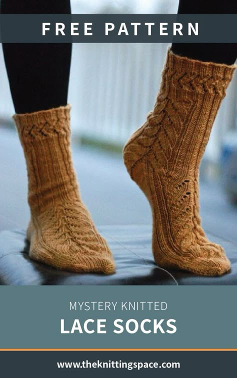 Sock Yarn Knitting Patterns, Socks Free Knitting Pattern, Knitting Socks For Beginners, Knitted Socks Free Pattern, Fall Knitting Patterns, Knitting Patterns For Babies, Knit Slippers, Knitting Patterns Free Beginner, Socks Knitting