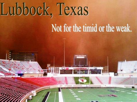 You know that's right!!!Haha! Lubbock or leave it. Texas Reznikoff, Texas Tech Football, Texas Forever, Lubbock Texas, Texas Tech University, Loving Texas, Lubbock Tx, Texas Girl, Raider Nation