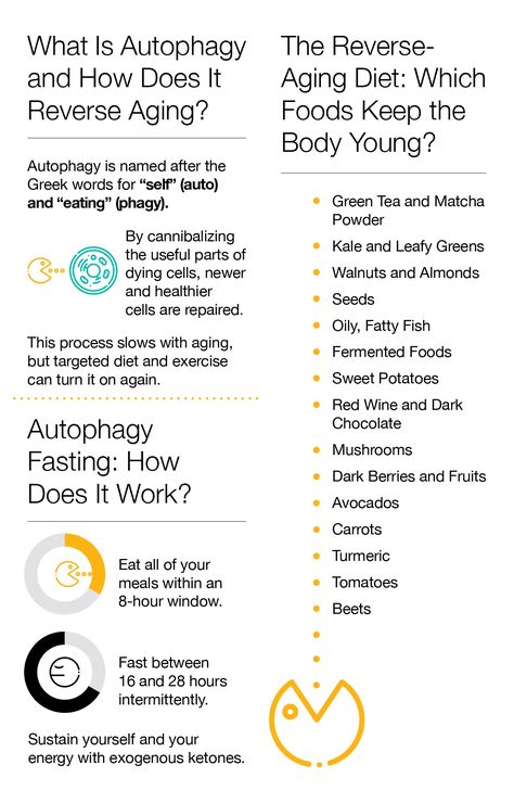 Autophagy Fasting, What Is Autophagy, Healthy Probiotics, Healthy Seeds, Anti Aging Secrets, Reverse Aging, Probiotic Foods, Anti Aging Food, Fatty Fish