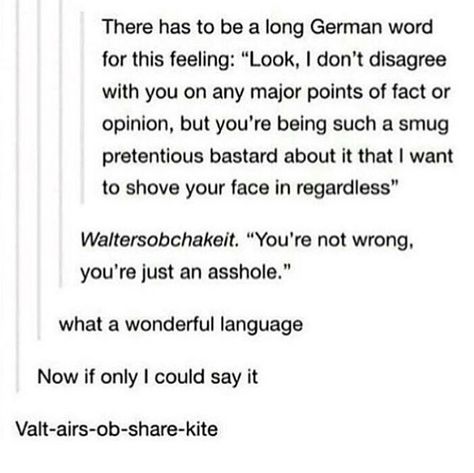 You're not wrong you're just an asshole German word language German Language Funny, Language Learning German, German Humor, Language Funny, Language Jokes, German Phrases, German Word, Learning Languages Tips, Living Single