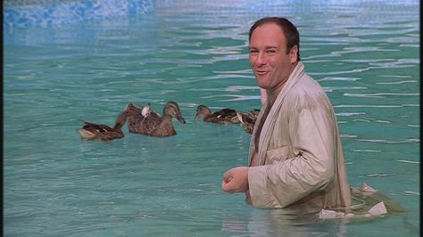 Tony Soprano, The Sopranos When Someone Loves You, Silly Shirt, Steve Buscemi, The Sopranos, Tony Soprano, Movie Shots, Star Show, Afraid Of The Dark, Pet Rabbit