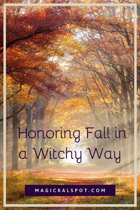 In this article, we'll learn How to Honor Fall in a Witchy Way. We'll take a look at rituals and other things you can do during this season. October Spells, Fall Rituals, Seasonal Witch, Autumn Reading, Full Moon Spells, Witchy Fall, Magickal Herbs, Moon Spells, Voodoo Spells