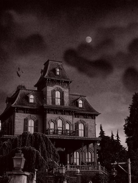 My new house???? I'd have to check that the neighbours were Addams though! Addams Family House, Addams Family Musical, Addams Familie, Adams Family, Spooky House, Halloween Haunted Houses, Haunted Places, Gothic House, Addams Family